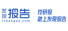 发现报告