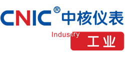 中核仪表有限公司